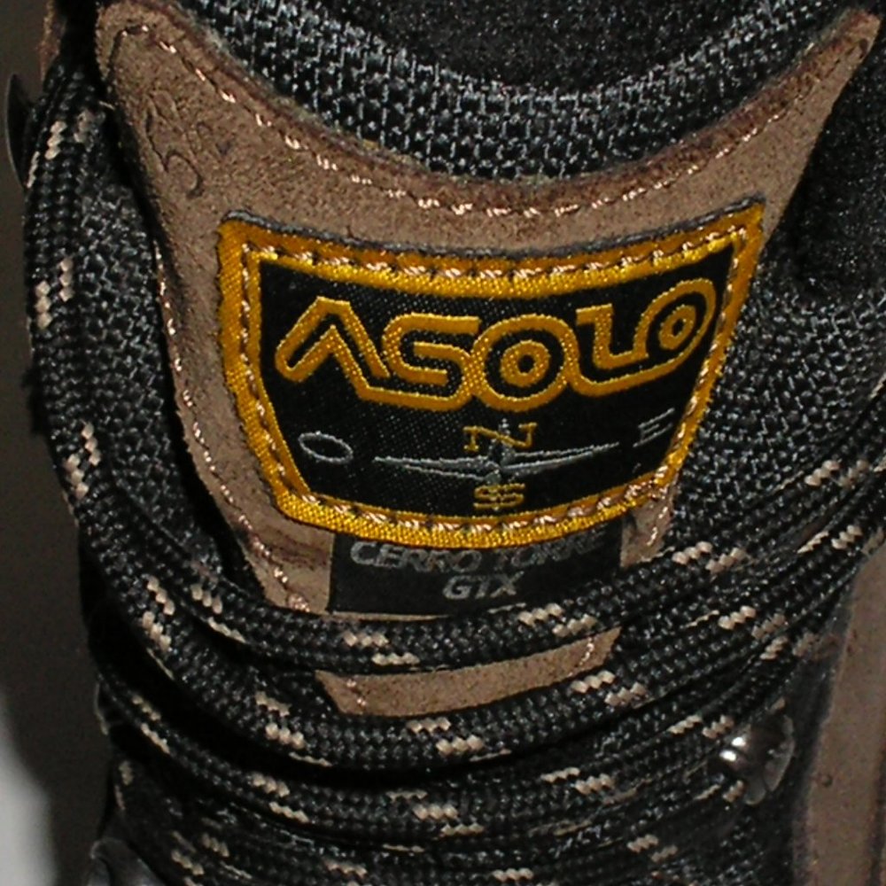 Asolo GTX Hiking Boots